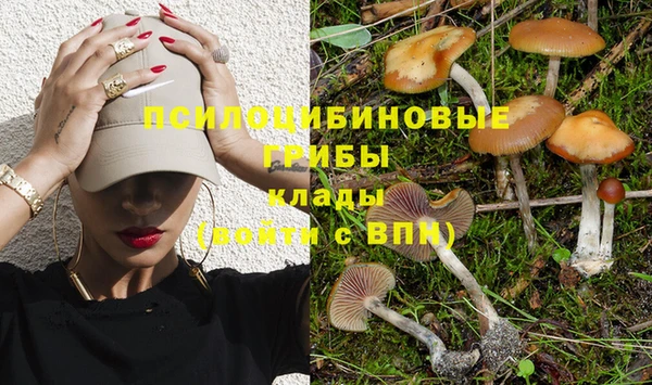 марки lsd Верея
