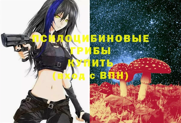 ешки Красноперекопск